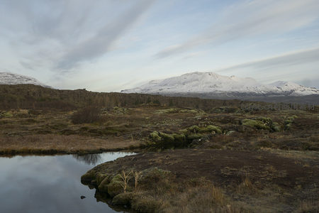 湖畔苔原与雪峰同框