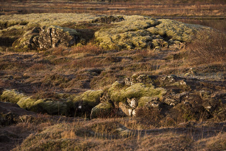 暮色苔原，光影交织的大地诗篇