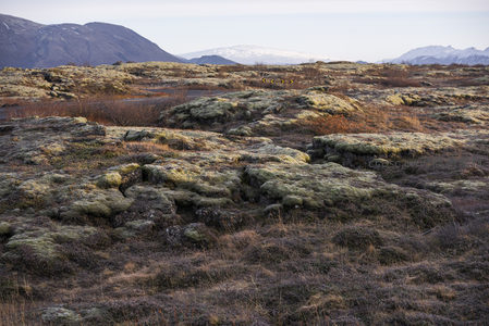 晨光中的苔原地貌与远山