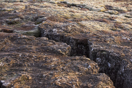 微距视角下的苔藓火山岩裂缝
