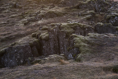 夕阳下苔藓覆盖的岩石群