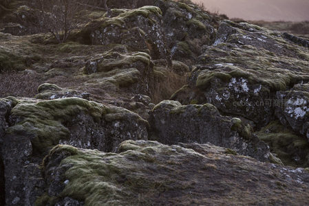 暮色中苔藓岩层的层次之美