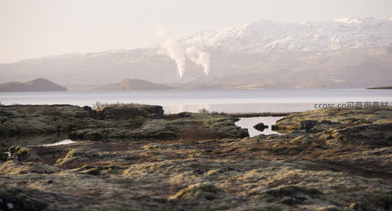 苔藓湿地与远山蒸汽的和谐画面