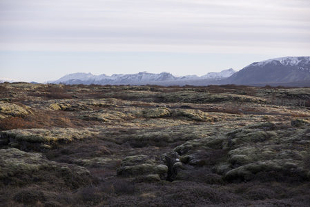 广袤苔原延伸至雪峰脚下