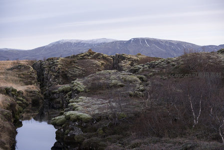 溪流穿行于苔藓峡谷之间