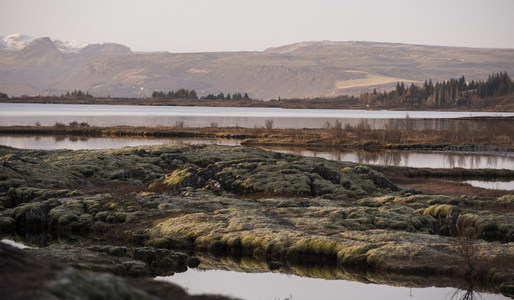 湖岸苔藓湿地映衬远山层叠