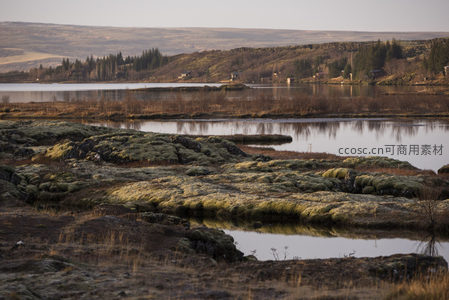 苔藓覆盖的湖畔湿地静谧风光