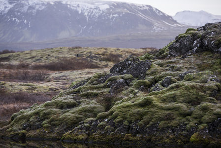 青苔覆盖火山岩与远山雪景