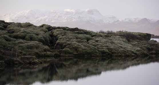 雪山倒影在苔原湖面如镜
