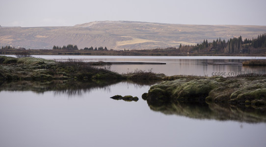 晨光下的苔藓湿地与远山轮廓