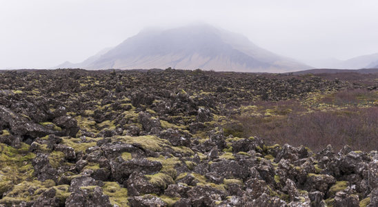 苔藓覆盖的火山岩地貌与远山云雾