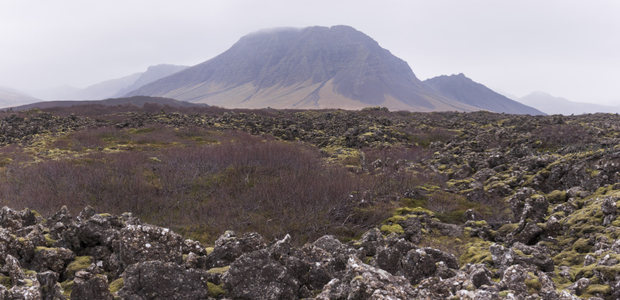 开阔熔岩原野上的孤峰与低矮灌木