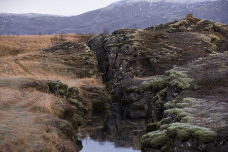 溪流穿行于苔藓岩壁间的幽静峡谷