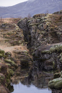 苔藓岩缝中的静谧溪水与倒影世界