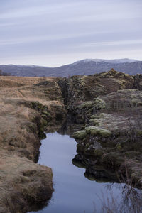 远山雪顶下溪谷与苔藓岩的和谐景致