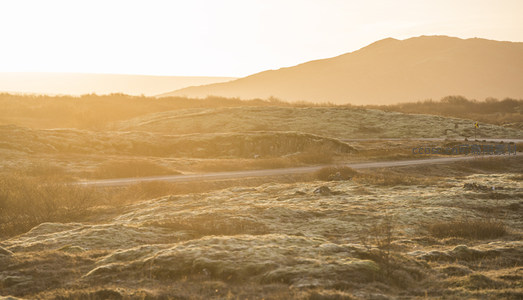 金色夕阳下的苔原地貌