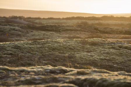 黄昏时分的苔原小径