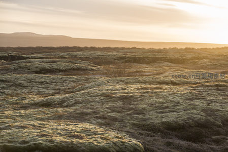 广阔苔原沐浴金色晨曦