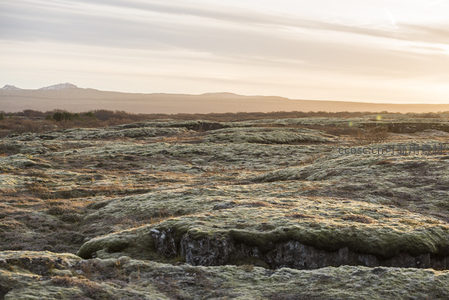 远山映衬下的苔藓地貌