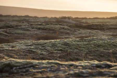 苔原日落，金色光辉洒满大地