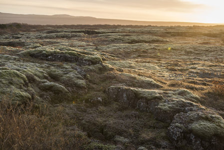 苔藓覆盖的火山岩地貌奇观