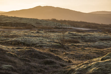 远山如黛，苔原小径通向远方
