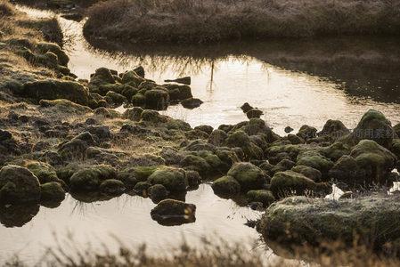 溪水倒映苔石，静谧如画