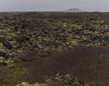 苔藓覆盖的火山岩地貌