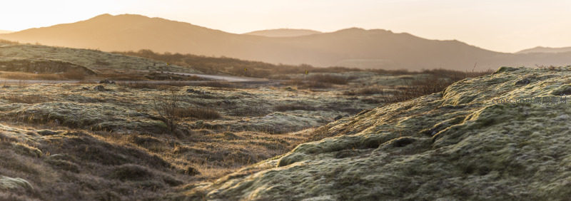 夕阳下的苔原丘陵