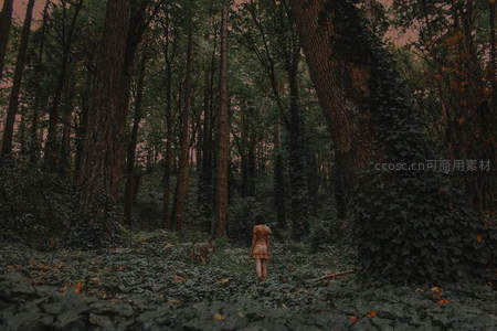 森林深处女子与猫相伴漫步