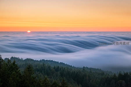 云海日出，霞光万丈，森林之巅如梦似幻