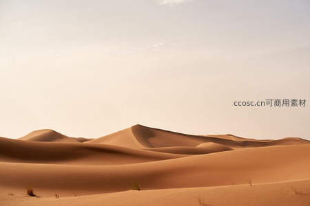 金色沙丘连绵起伏于无垠沙漠