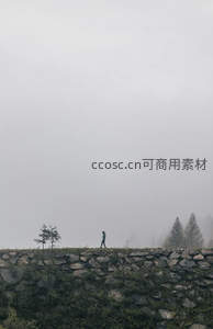 雾中独行，石墙小径伴松影