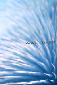 蓝色植物纤维微距特写展现自然纹理