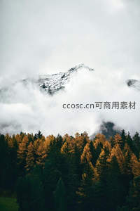 云雾半掩雪峰顶，林海斑斓秋意浓