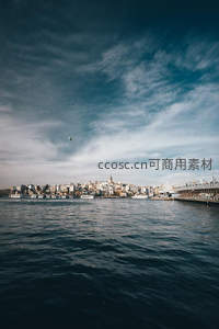 水天一色的城市天际线与海鸥翱翔