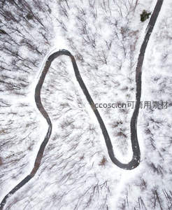 雪覆林间蜿蜒小径航拍图