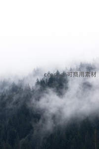 云雾缭绕山林仙境图