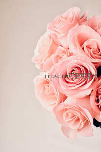 柔粉玫瑰静置角落，温柔浪漫