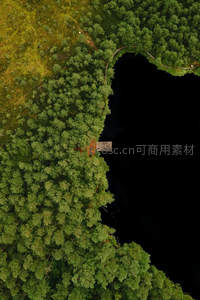 航拍森林湖岸小木屋