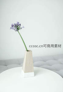 简约木制花瓶中的紫色花朵