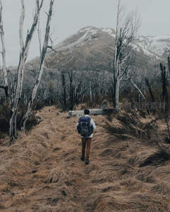 背包客穿行枯林雪峰间