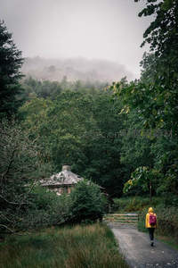 穿黄衣背包客漫步林间小径雾气缭绕