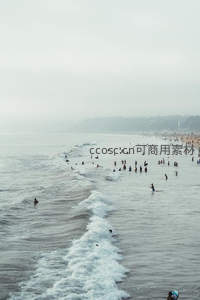 雾霭海滨冲浪者点缀波涛与沙滩