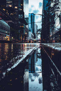 雨后都市倒影，霓虹与高楼的静谧对话