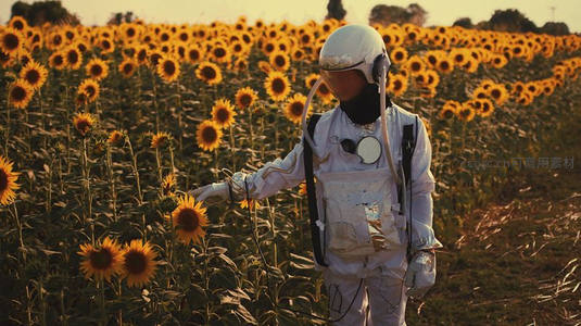 宇航员漫步向日葵花海，科幻与自然交融
