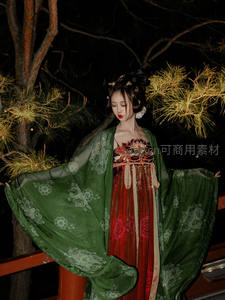 夜色古风汉服美人