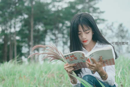 草地阅读时光静谧美好