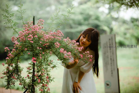 白衣女孩轻抚花丛微笑