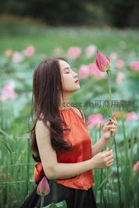 荷塘仙子闭目闻香，红衣与粉荷共舞